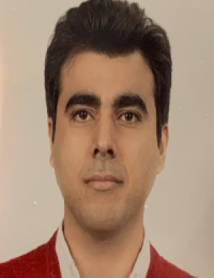Dr. Seyed Hadi Seyed Ali Tabar